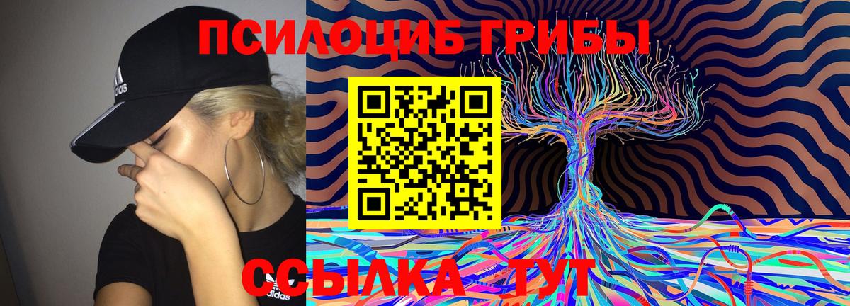 Галлюциногенные грибы Psilocybe  Вход с VPN  Дубна 